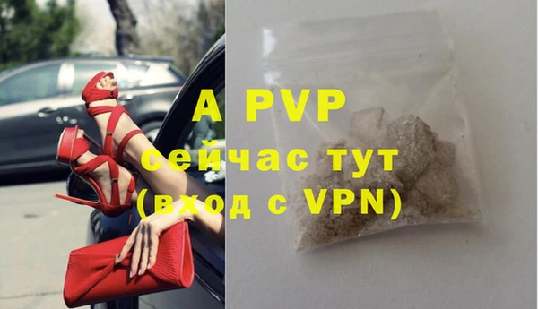 ECSTASY Бородино