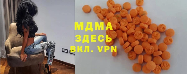 ECSTASY Бородино
