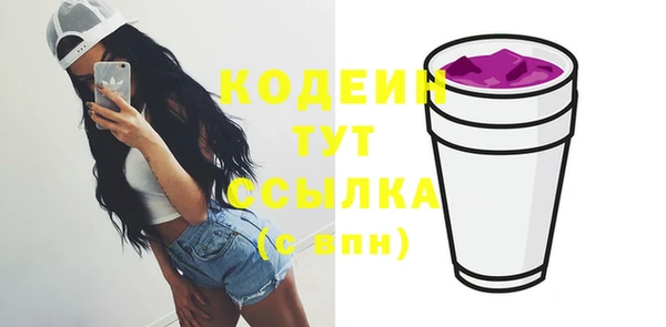 ECSTASY Бородино
