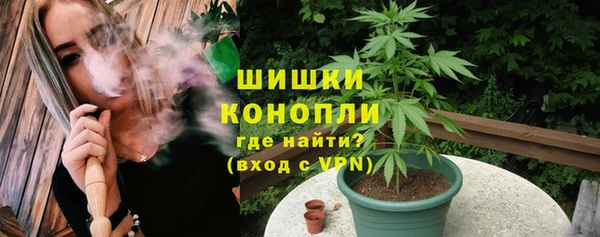 ECSTASY Бородино