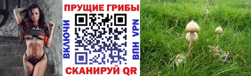 OMG ССЫЛКА  Нытва  Галлюциногенные грибы GOLDEN TEACHER 